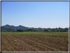 foto Paesaggi Collinari in Primavera